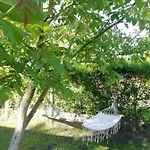 Дом отдыха - Balaton 26709