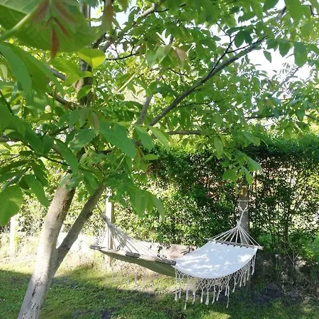 Holiday home - Balaton 26709