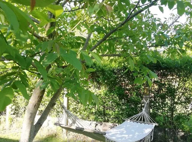 Semesterbostad - Balaton 26709