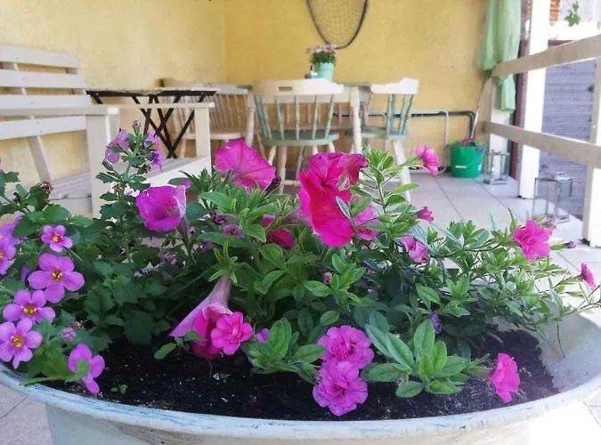 Semesterbostad - Balaton 26709 *