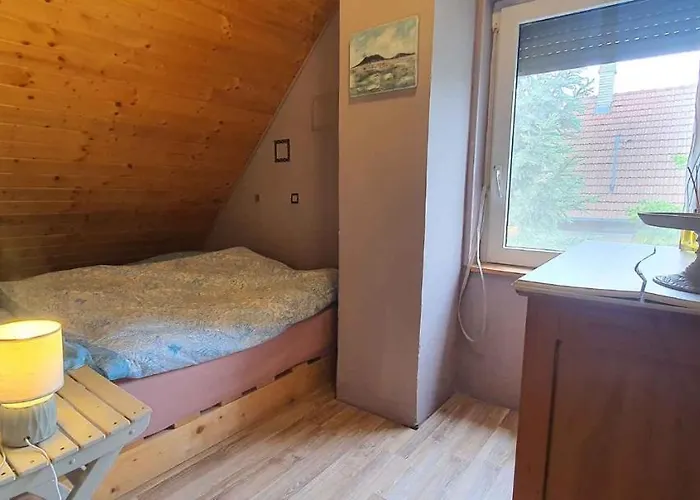 Semesterbostad - Balaton 26709 *