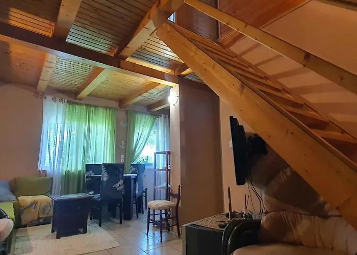 Semesterbostad - Balaton 26709 *