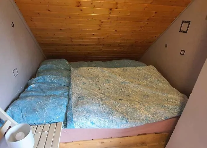 Semesterbostad - Balaton 26709 *