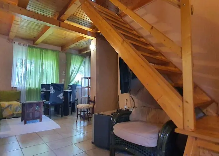 Semesterbostad - Balaton 26709 *